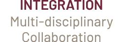 Integration Multi disciplinary Collaboration